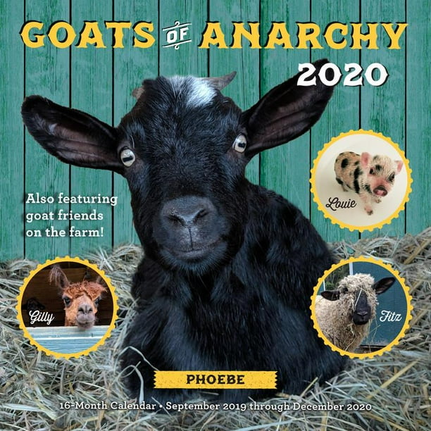 Goats of Anarchy 2020 16 Month Calendar September 2019 Through