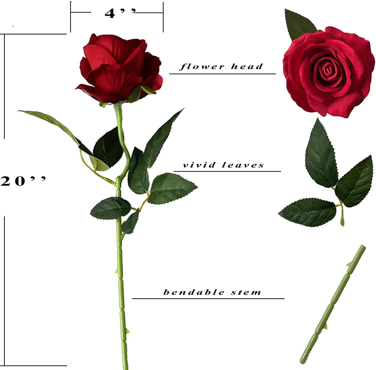 Red Roses Six Types Different Types Of Red Roses