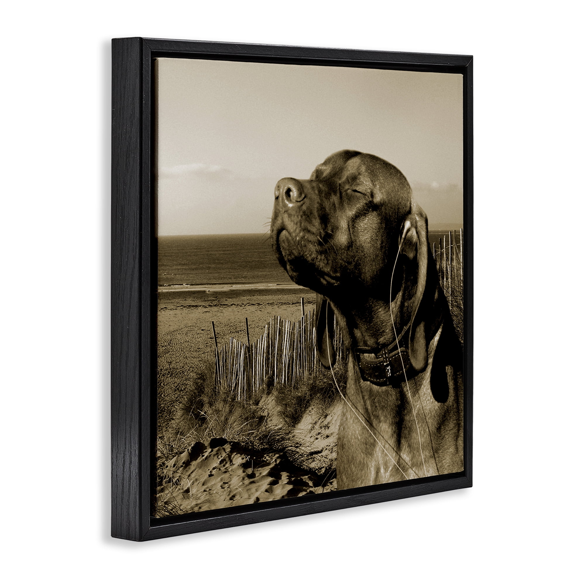 Stupell Industries Relaxed Dog with Music Animals & Insects Photography Black Floater Framed Canvas Art Print Wall Art, 25 x 25
