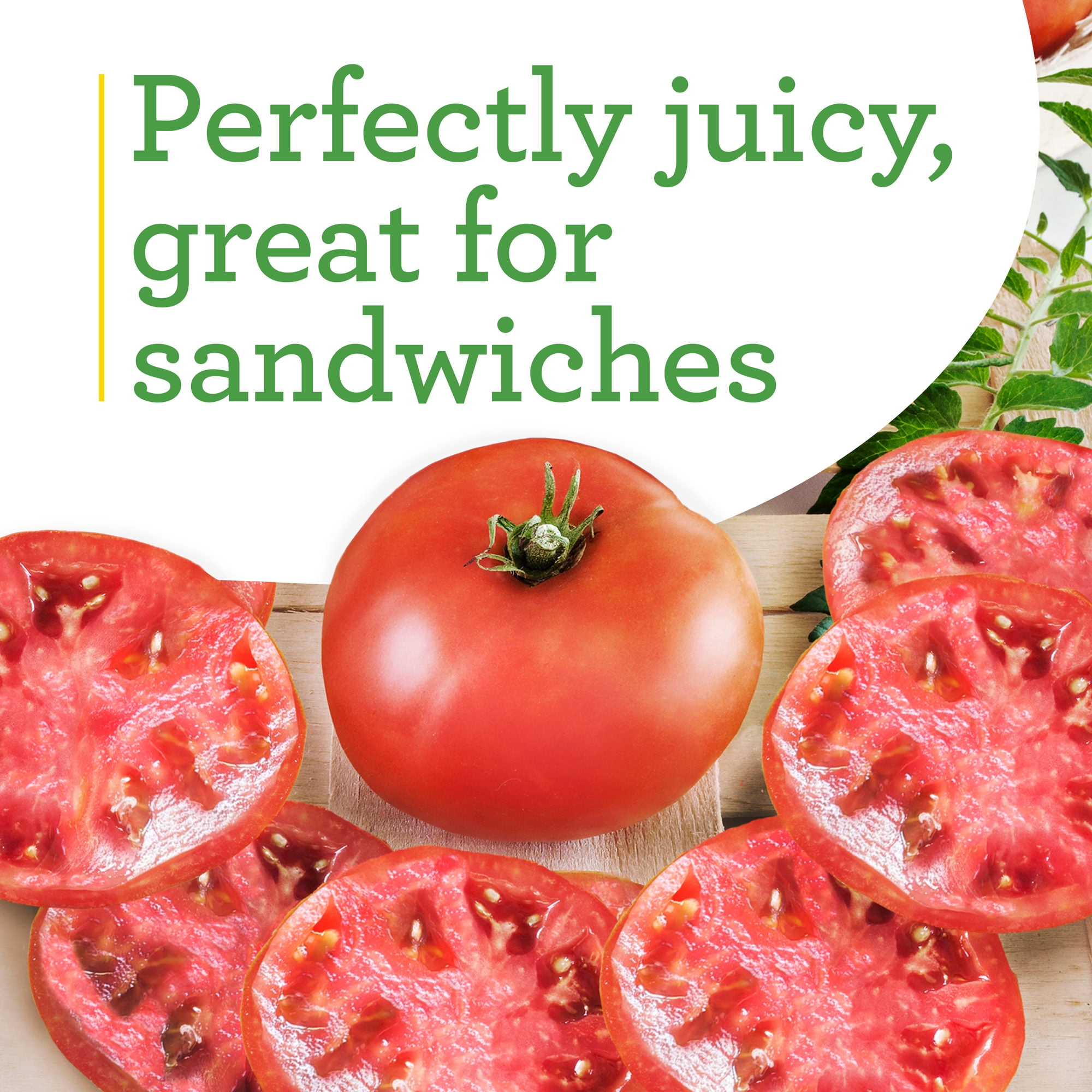 Bonnie Plants Big Boy Tomato 19.3 oz.
