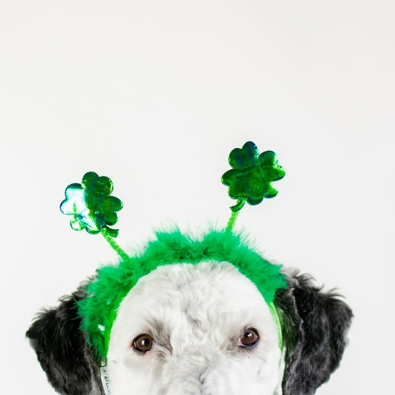 Midlee St. Patrick's Day Shamrock Dog Headband