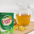 thumbnail image 6 of Canada Dry Ginger Ale Powdered Drink Mix Sugar Free Low Calorie Water Enhancer Refreshing Fruity Stick Beverages 3 Boxes - 6 packets per Box (18 Total Servings), 6 of 7
