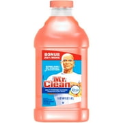 Mr Clean Lq W/f Ha 48 Fo