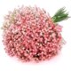 thumbnail image 1 of 6 Pack Realistic Touch Artificial Gypsophila Flower Branches for Wedding Party, Flower Arrangement, Home Decor (Pink), 1 of 5