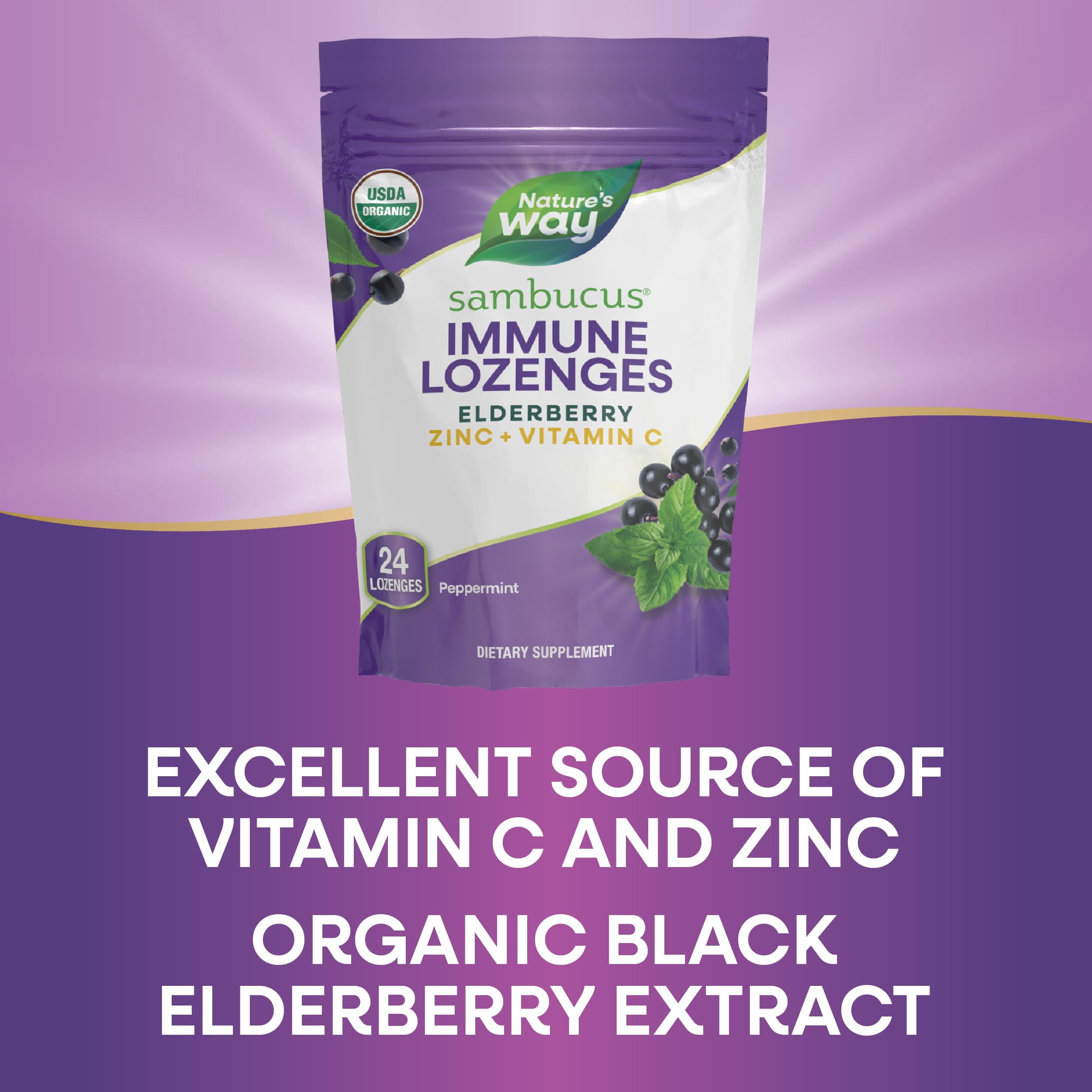 (Pack Of 6) Natures Way Sambucus Organic Zinc Lozenge 24 Pieces