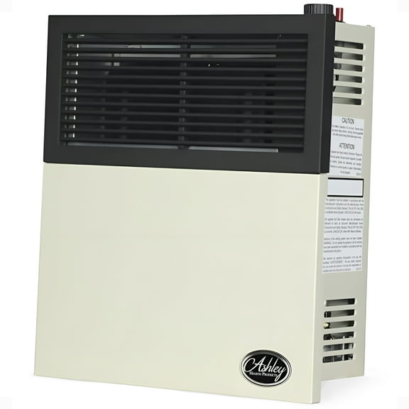 Ashley Hearth Products New 11,000 BTU Direct Vent Propane Wall Mount Heater