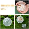 thumbnail image 5 of 2 bolas de ejercicio para hámster, bola transparente para hámster, rueda para hámster enano, mascotas pequeñas para reducir el aburrimiento y aumentar la actividad, 5 of 5