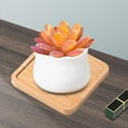 thumbnail image 2 of 3 Bandejas De Madera Para Baño, Plato De Tocador, Bandeja Dispensadora De Jabón, Soporte Para Jabón Sunnimix Bandeja de baño, 2 of 8