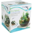 thumbnail image 3 of Penn-Plax Eco-Sphere Fishbowl and LED Light Kit – 1.1 Gallon, 3 of 7