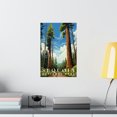 thumbnail image 4 of ELNEIT - Sequoia National Park Poster, Unframed Matte Paper, S07, 4 of 4