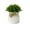 B, variant on Artificial Potted Plants Small Faux Greenery Ornaments Realistic Plastic Silk Grass in Pots for Shelf Desk Bathroom Home Office Decor