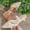 White, variant on Women's Low Heel Sandals, Breathable Lace Pointy Toe Low Shallow Comfortable Work Shoes Black 6