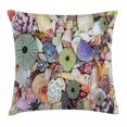 thumbnail image 1 of Shell Throw Pillow Cushion Cover, Closeup Photo of Various Colorful Big Little Seashells Collecting from Coast Image, Decorative Square Accent Pillow Case, 20" X 20", Multicolor, by Ambesonne, 1 of 2