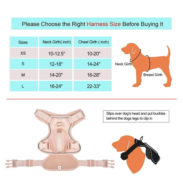 How to Size a Harness for a Dog: Ultimate Guide for Perfect Fit