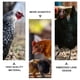 thumbnail image 3 of GAXIRE 100Ud Gafas Para Gallinas De Plástico Rojas Con Protección Anti Picoteo Para Granjas, 3 of 6