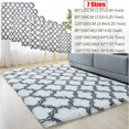 thumbnail image 2 of SHANNA Fluffy Shaggy Area Rug Soft Floor Carpet for Kids Nursery Dorm Bedroom Living Room, 2 of 7