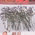 thumbnail image 4 of SPRING PARK 12Pcs Pressed Dried Flowers for DIY Arts Crafts Resin Jewelry Making Accessory, 4 of 7