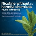 thumbnail image 5 of Equate Mini Nicotine Polacrilex Lozenges, 4 mg (Nicotine), Mint Flavor, 27 Count, 5 of 10