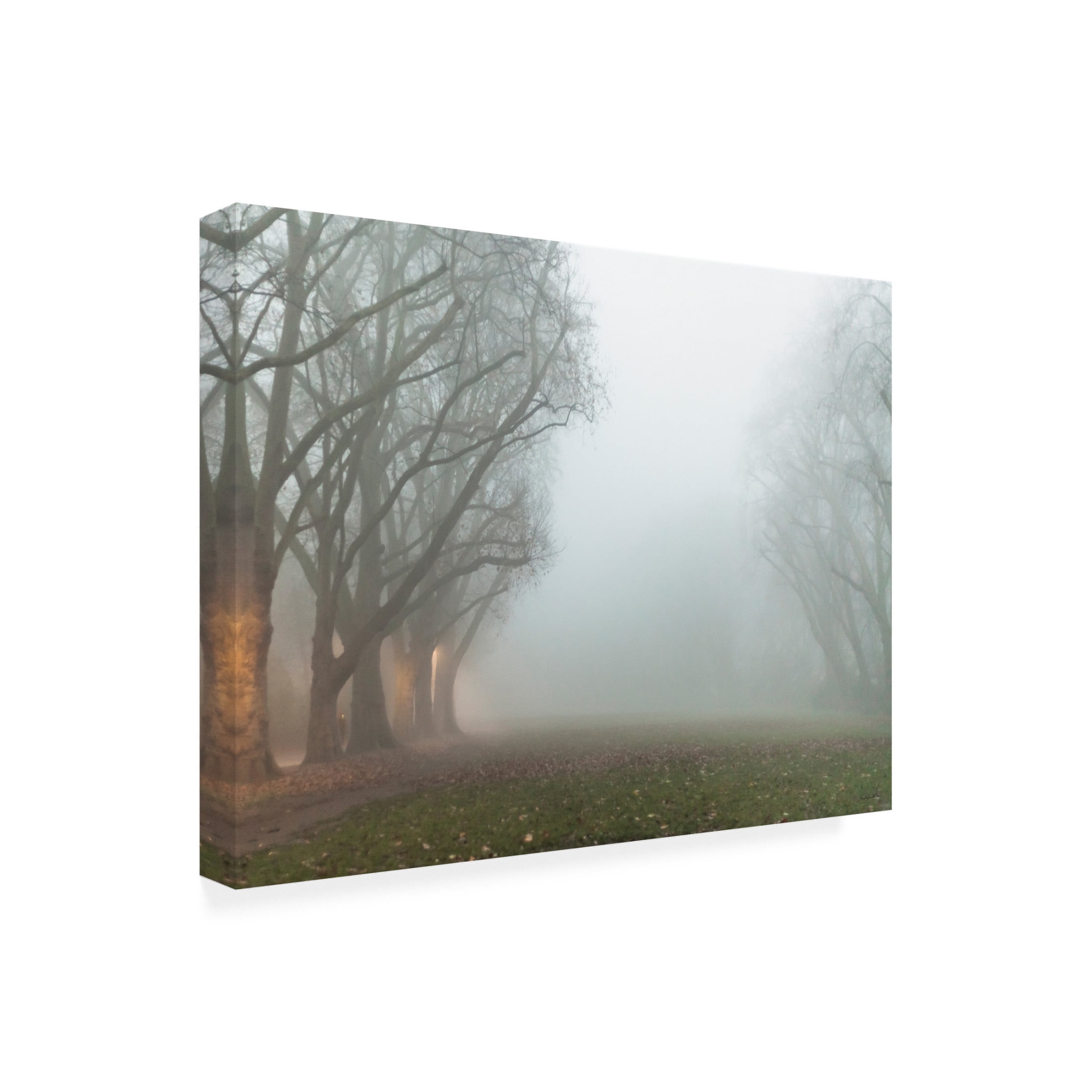 Canvas Wall Art - Kent Burkhardsmeier 'Intriguing Beginnings' Wall Art for Living Room, Bedroom, or Office Décor by Trademark Fine Art - 32 x 24 Inches