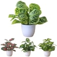 thumbnail image 4 of Bobasndm Artificial Potted Plants, Artificial Green Leaves with Natural Stone and Cement Pot, Fake Plants for Indoor and Room Decoration, 4 of 9