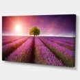 thumbnail image 2 of Purple Sky over Stunning Lavender Field - Floral Canvas Art Print, 2 of 3