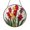 Acrylic 3.5 Inch, variant on August Gladiolus Glass Window Hanging Decor, Floral Suncatcher Art, Thoughtful Gift Idea