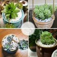 thumbnail image 4 of 200g White Pebble Stones, Succulent Soil Topper, Decorative Garden Rocks, Plant Pot Cover, Ornamental Rocks for Landscaping 200G, 4 of 4