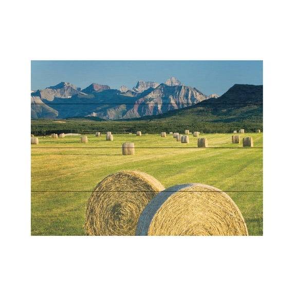 Alan Majchrowicz 'Waterton Hay Bales' Wood Slat Art 12x16