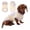 Beige, variant on HQREA Dachshund Dog Clothes Anti-UV Cooling Vest Tank Top with Pocket Stretchy Sleeveless Summer T-Shirt for Mini Dachshund