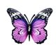 thumbnail image 1 of La Pared Al Aire Libre Metal Hierro Mariposa Jardín Decoraciones Reutilizable Colgante De Pared Mariposa Para Interior Al Aire Libre matsuzay HA042876-03, 1 of 6