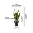 thumbnail image 7 of Artificial Snake Plant in Black Pot, 7 of 7