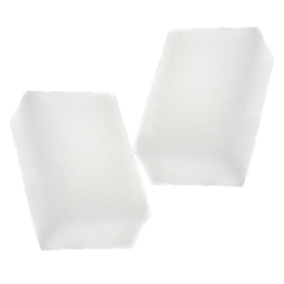 Delapan Fish Foam Pre-Filter Sponges for Canister Filters and AquaClear 70 300 Aquarium Filter Media, 2 Pack