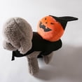 thumbnail image 5 of Dog Pumpkin/Ghost Costume Halloween Pet Clothes Pumpkin/Ghost Outfit for Small Dogs Holiday Pet Supplies(XL,Black), 5 of 7