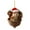 I, variant on DAMAI Forest Animal Acorn Ornaments With Christmas Hat Berry Pinecone, 2026 New Cozy Woodland Animal Christmas Tree Decor, 2D Flat Acrylic Pine Cone Animal Hanging Pendants for Xmas Nature Lovers