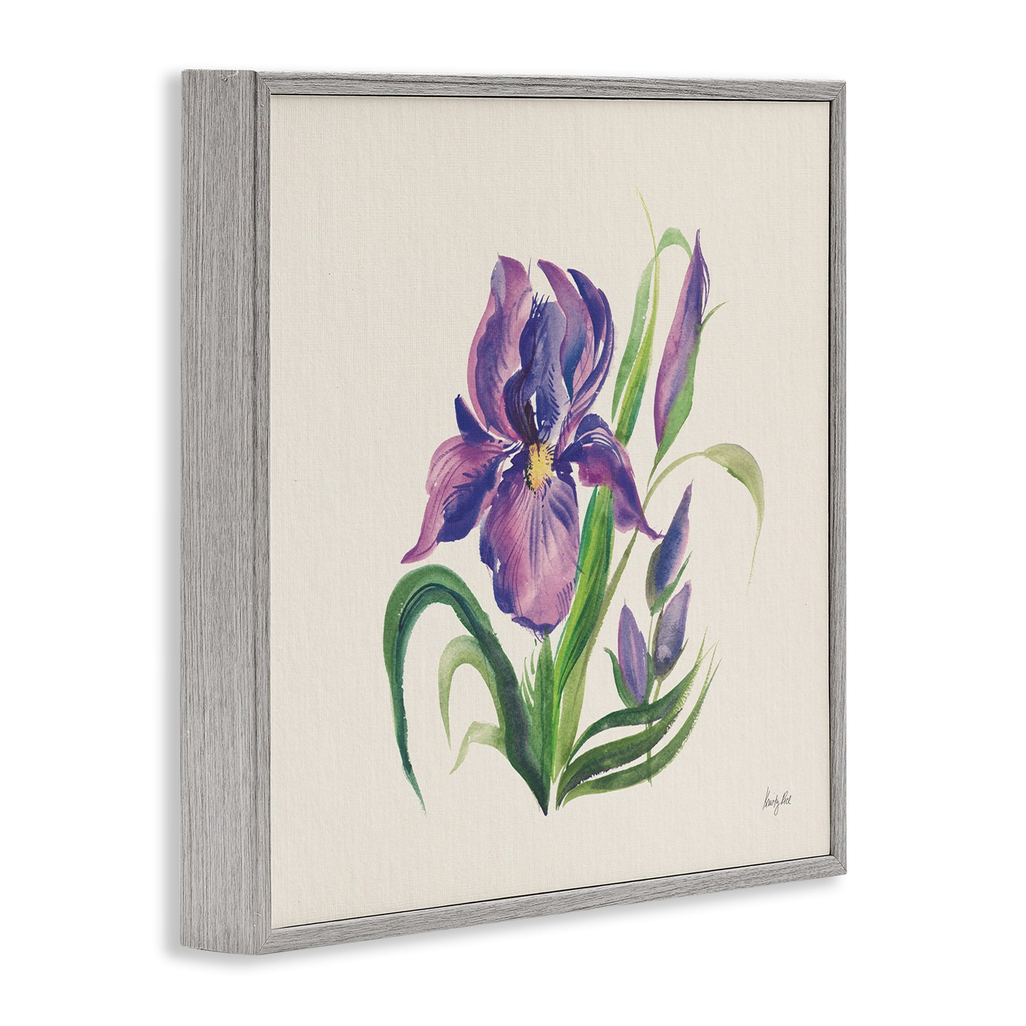 Stupell Industries Purple Iris Flower Botanical & Floral Painting Gray Framed Art Print Wall Art, 24 x 24