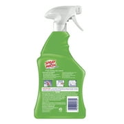 Spray n Wash Pre-Treat Laundry Stain Remover, 22 FL Oz Bottle (Pack of 4)