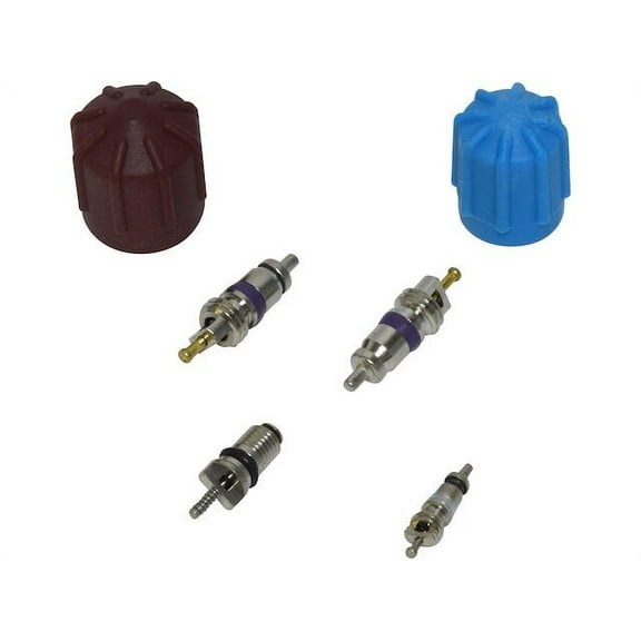 A/C System Valve Core and Cap Kit - Compatible with 2006 - 2013 Mercedes-Benz E350 2007 2008 2009 2010 2011 2012