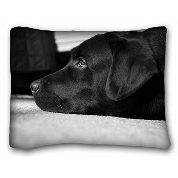QIFEIHA black and white labrador Peter the dog Pillowcase Cushion Cover Two Sides Printing Size 20x30 inch