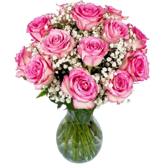 Arabella Bouquets Fresh Cut 18 Pink Roses with Baby's Breath in Vase