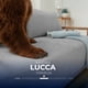 thumbnail image 5 of Sofá Cama Lucca matrimonial Spring Air, con almacenamiento color Gris, 5 of 11