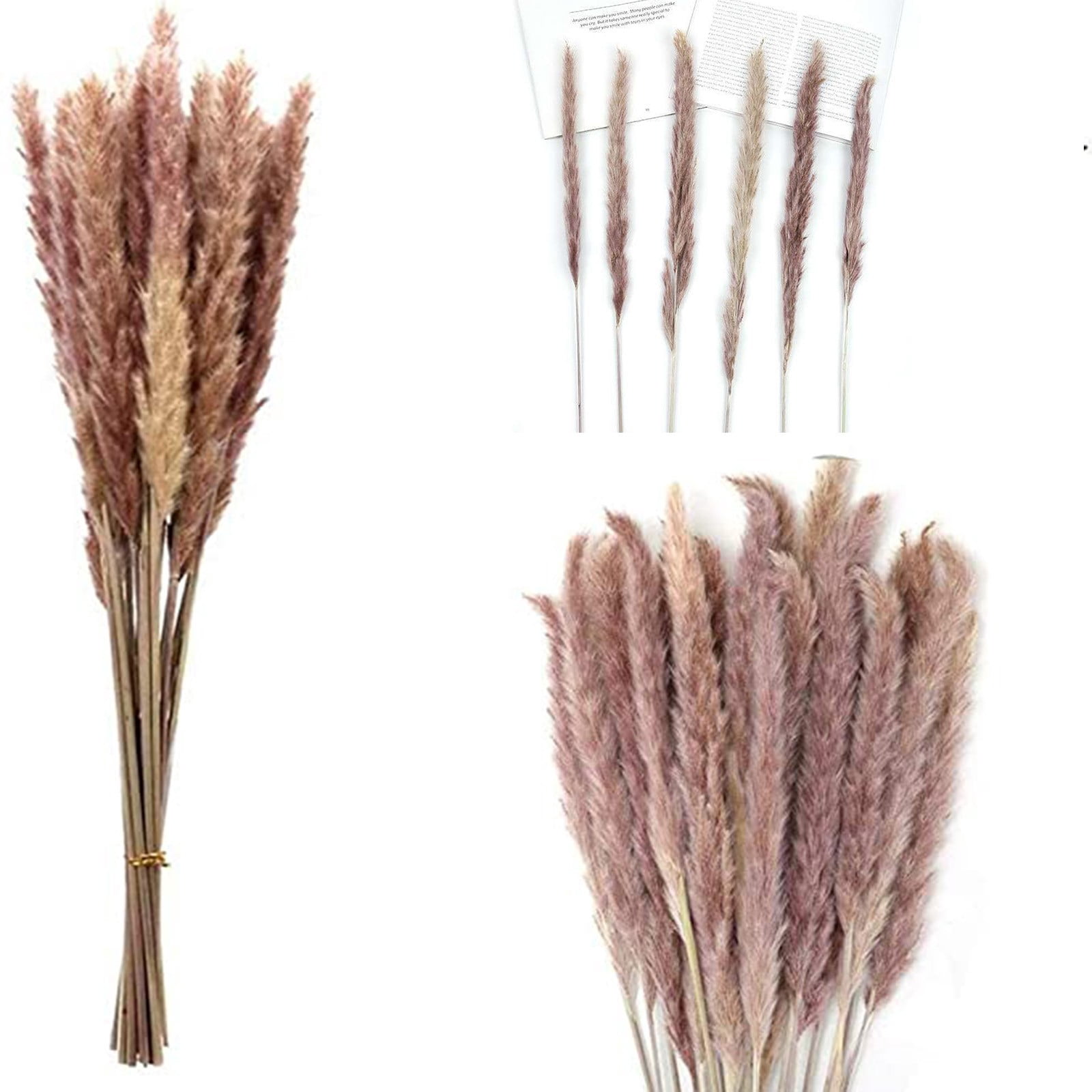 Dengmore Sales 100PC Dried Decoration Dried Flowers Vases Bouquet Boho Decoration Branches B
