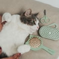thumbnail image 4 of Dexypaws: Nail Clipper for Cats & Small Pets - Sage Green, Cat-Dog-Puppy Grooming Tool, Precision Trimming, Steel Blades, Animal Care & Maintenance, 4 of 8