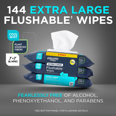 EQUATE EXTRA LARGE FLUSHABLE WET WIPES, COOL MINT SCENT, 144 WIPES, 3 PACK