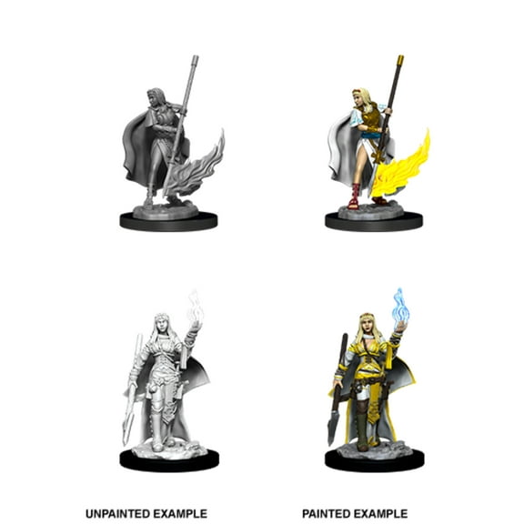 Pathfinder Deep Cuts Unpainted Miniatures: Wave 11: Female Human Oracle