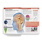 Knowledge Encyclopedia Human Body, (Hardcover)