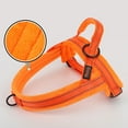 thumbnail image 2 of Didog No Pull Dog Harness Front Leading Adjustable Reflective Soft Warm Plush Padded Strap Vest XS-L, 2 of 8