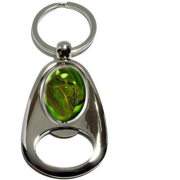 Chameleon Blending in with Green Leaves, Lizard Reptile, Chrome Plated Metal Spinning Oval Design Bottle Opener Keychain Key Ring