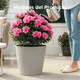 thumbnail image 3 of Maceta Elly Décor Cónica Gerbera en color Gris Cemento Diseño Moderno con Tapón Roscable ( 32.1 l), 3 of 6