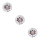 thumbnail image 3 of Bewildely Bola de cristal de flor de ensueño de resina, atmósfera mágica en cualquier lugar, regalo decorativo de bola de ensueño, Astrantia, Type1 NO1, 3 of 6