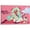 Frame-style, variant on IHIPPO Panty & Stocking with Garterbelt Anime Poater Painting On Canvas Wall Art Poster Scroll Picture Print Living Room Walls Decor Home Posters 16x24inch(40x60cm)